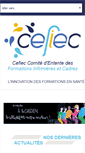 Mobile Screenshot of cefiec.fr